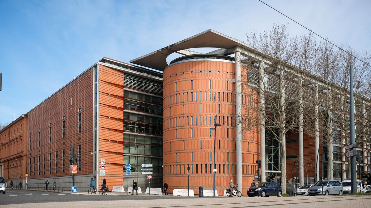 Un maillot nazi à Toulouse : un jeune homme face à la justice pour apologie du nazisme