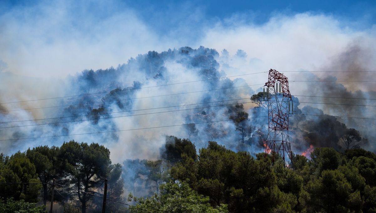 Une commission d'enquête demandée sur l'incendie dévastateur aux portes de Marseille