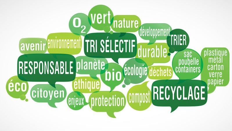 Des solutions écologiques pour l'érosion qui enrichissent la biodiversité