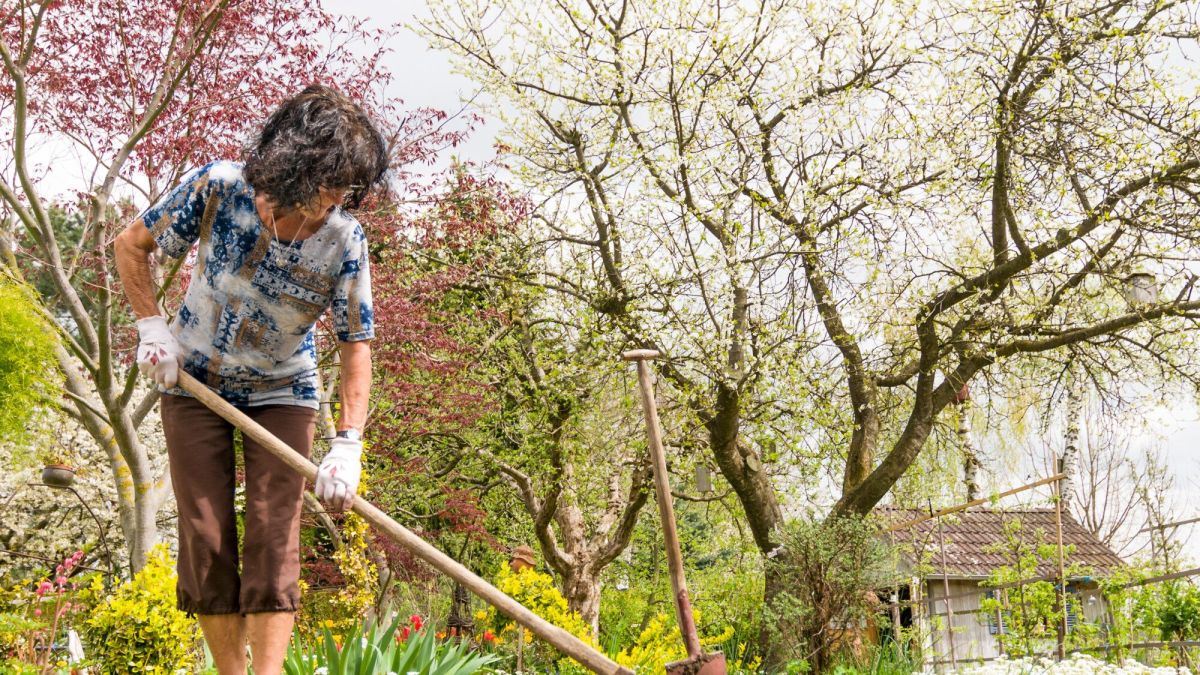 Préparer son potager : 5 conseils essentiels pour des récoltes florissantes