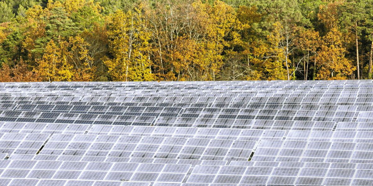 La croissance verte en Europe : un rêve en panne?