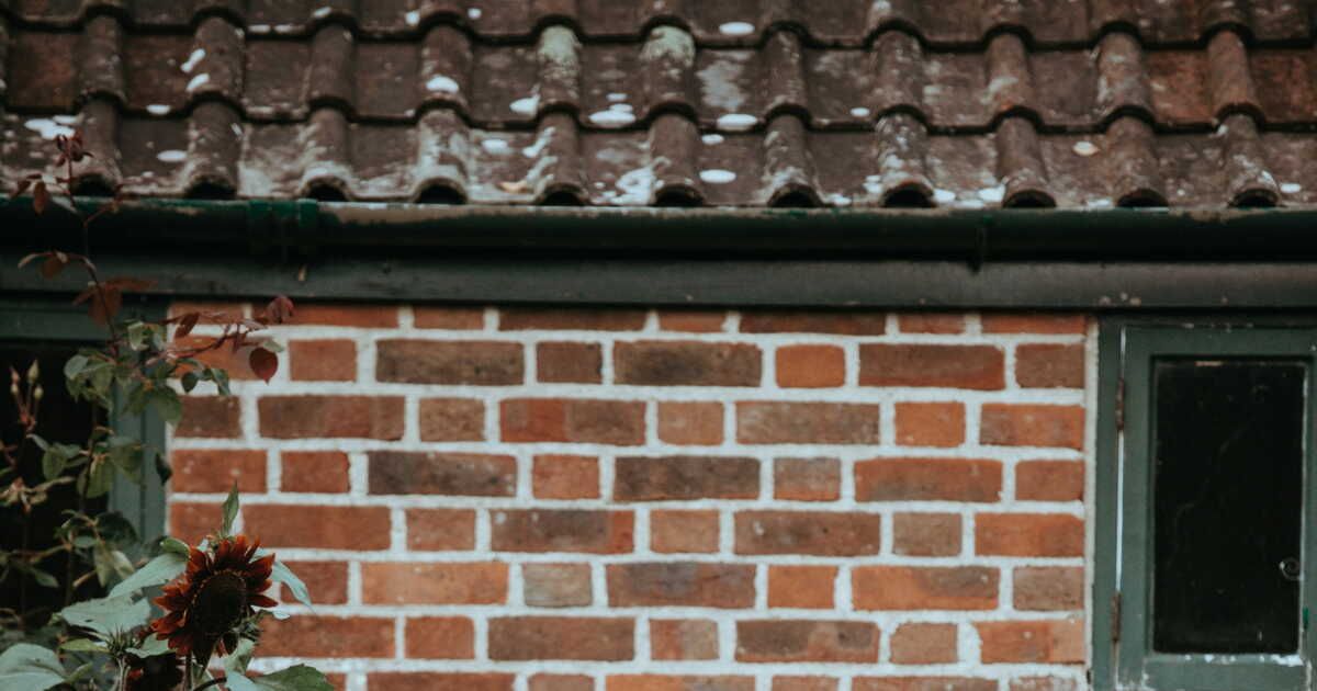 Redonnez vie à vos briques et murets en terre cuite