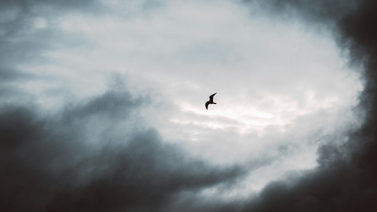 L'arrivée des intempéries : la France se prépare pour un week-end de pluie et d'orage