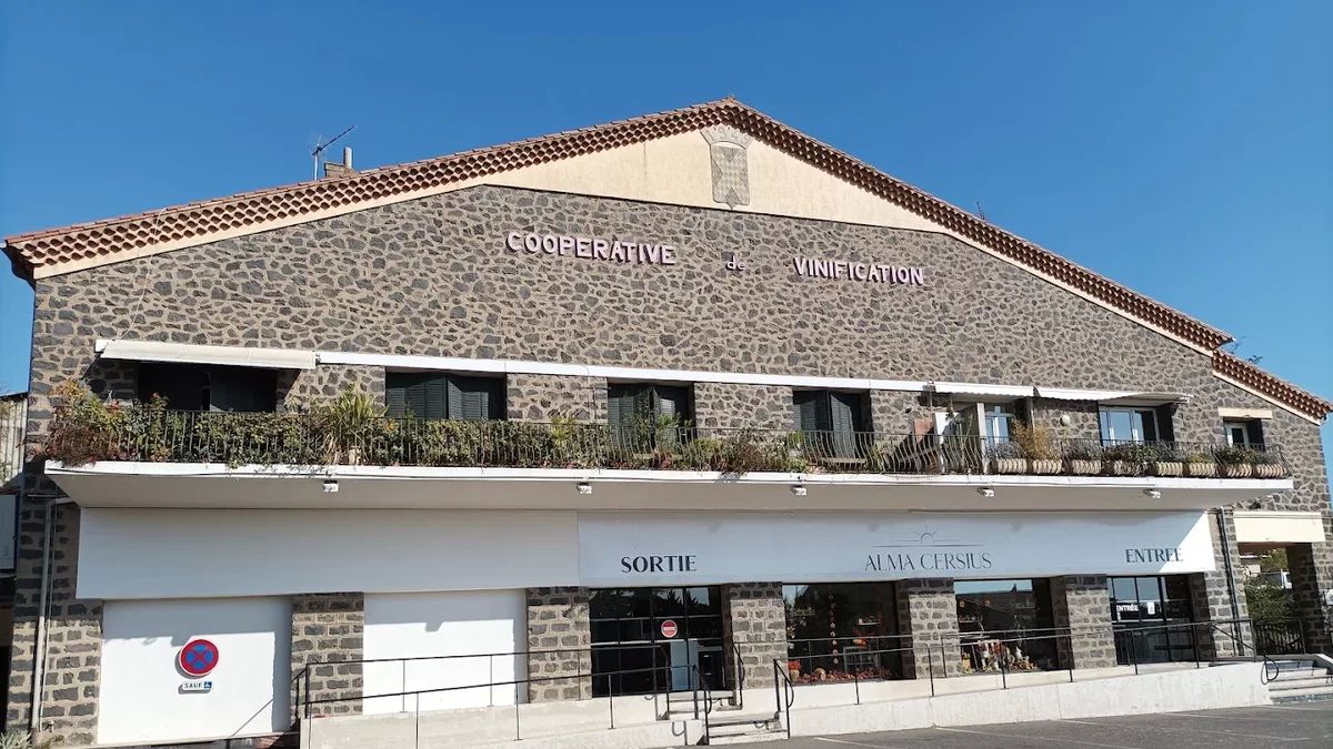 Les trésors viticoles du Cap d’Agde : un voyage au cœur de la tradition