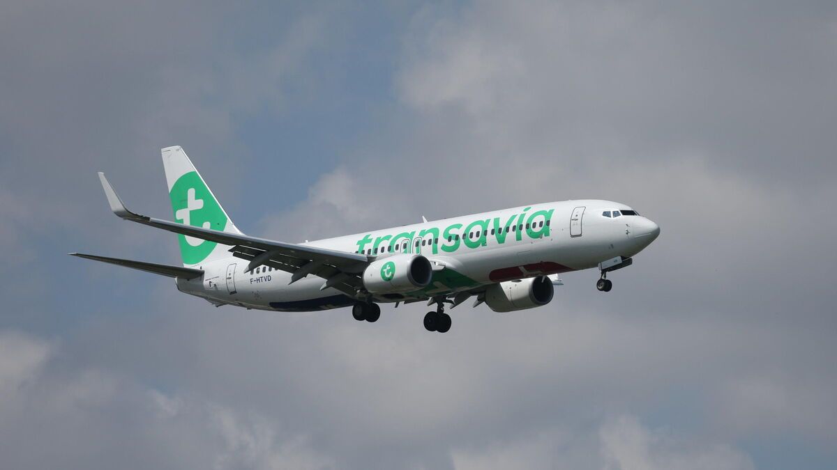 Vol en détresse : un Boeing se pose d'urgence à Biarritz après la fissure du pare-brise