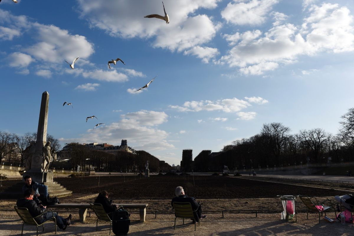 Le printemps s'invite en décembre : une bouffée de douceur inattendue