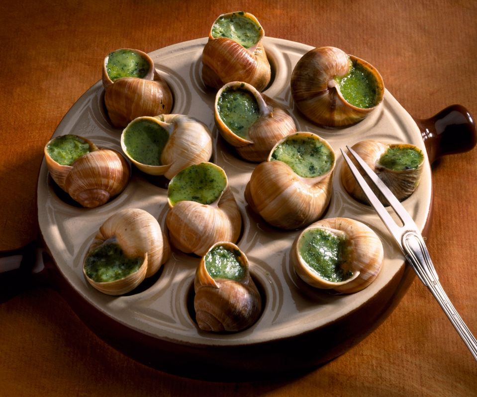 Les escargots : un délice méconnu aux mille vertus