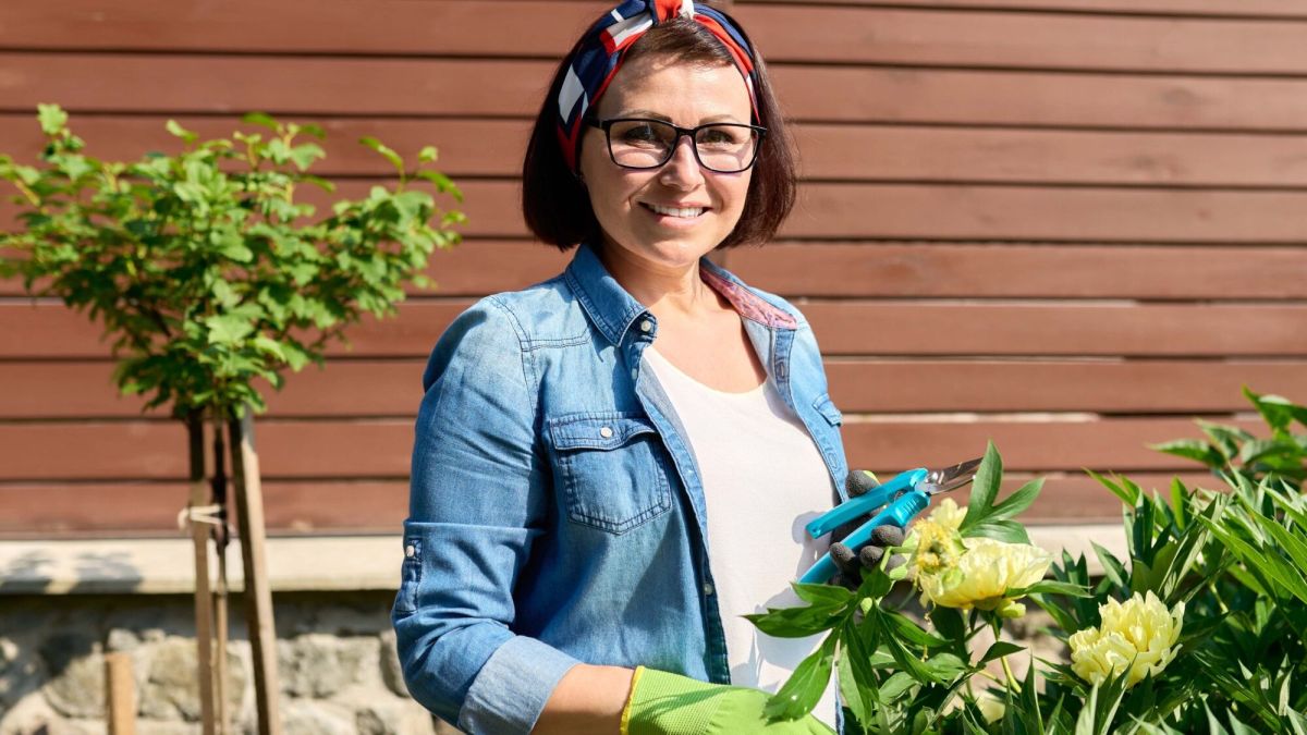 Comment bien placer vos érables en pot ?