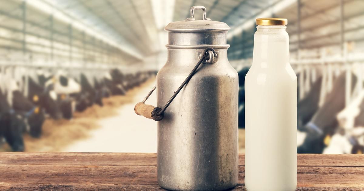 Découvrez des alternatives savoureuses au lait de vache
