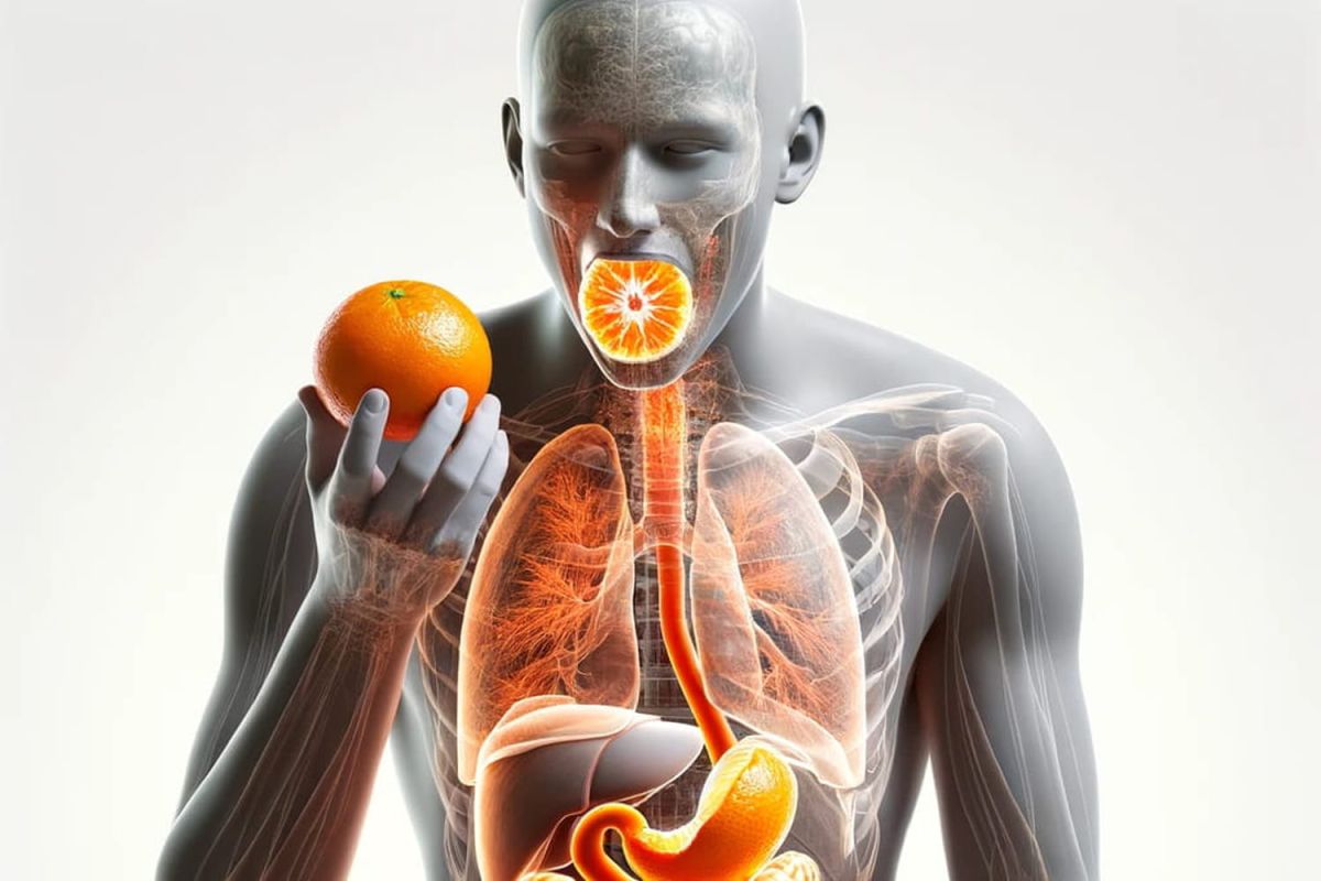 Les bienfaits insoupçonnés des clémentines sur notre santé