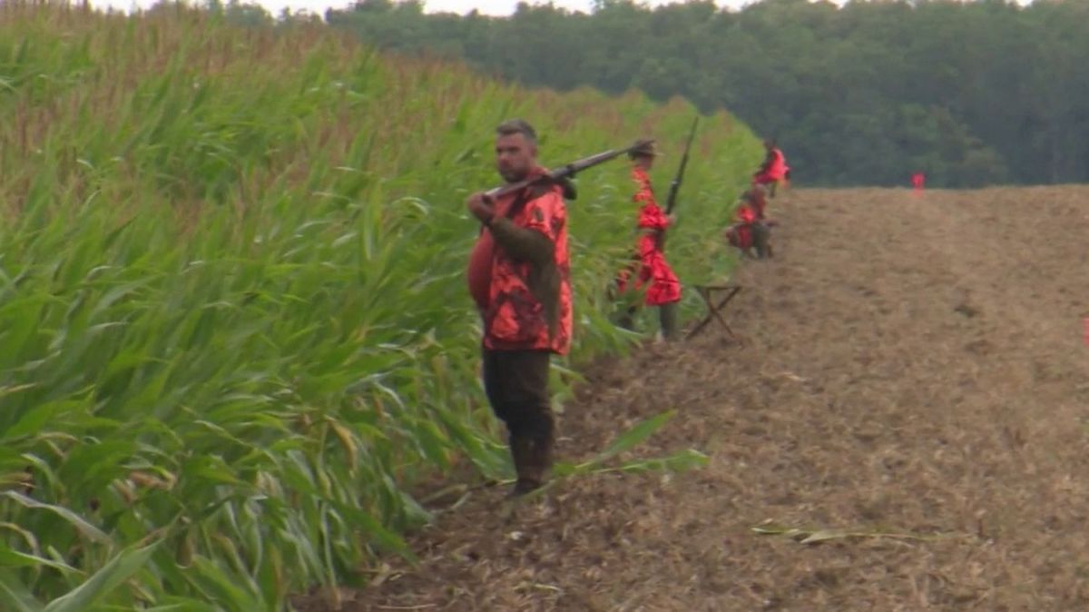 Un tir tragique sur un sanglier choque près de Châteauroux