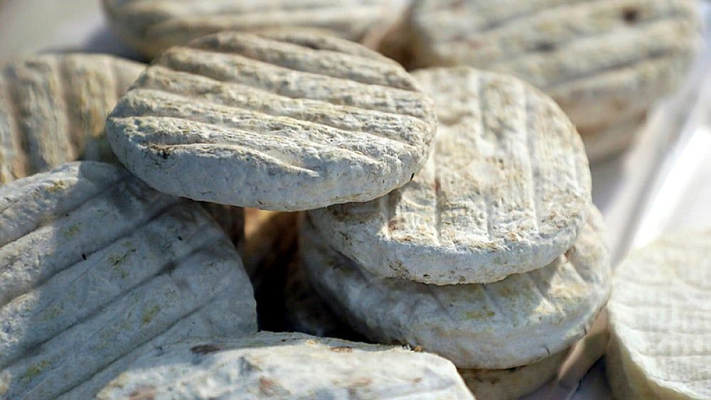 Un fromager condamné après l'intoxication de douze enfants