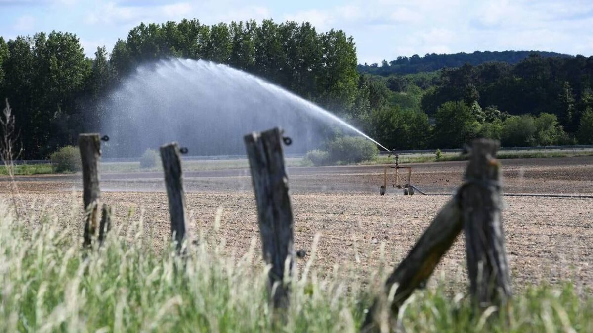 Maine-et-Loire : un coup de pouce de 105 millions d'euros pour les agriculteurs