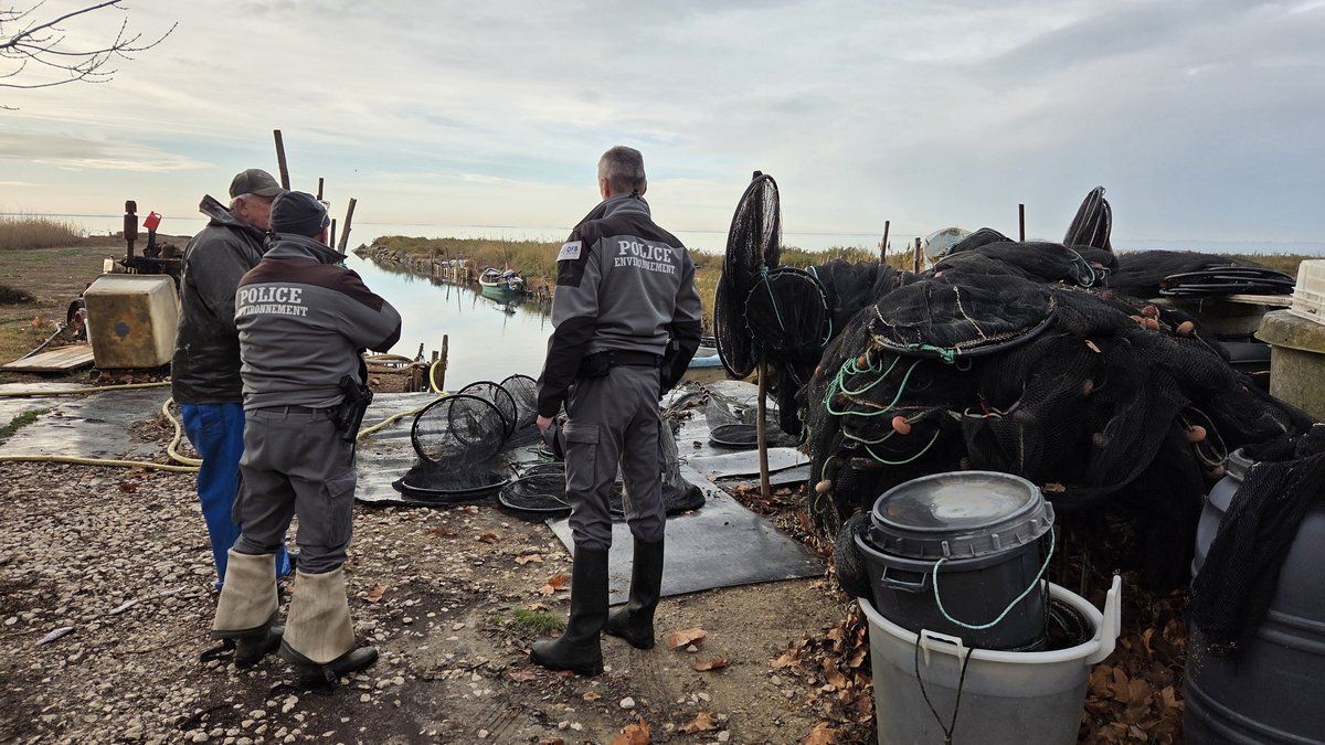 Lutter pour la nature : une vaste opération de police réussie en Camargue
