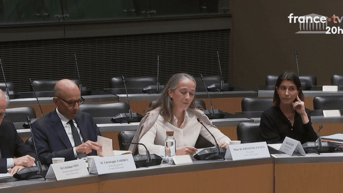Delphine Ernotte face aux députés : la vérité sur France Télévisions