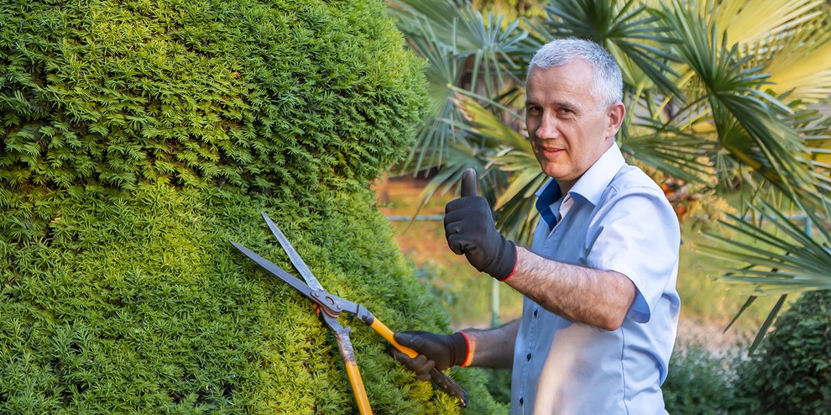 Retraite active : comment se lancer dans le bricolage et le jardinage ?