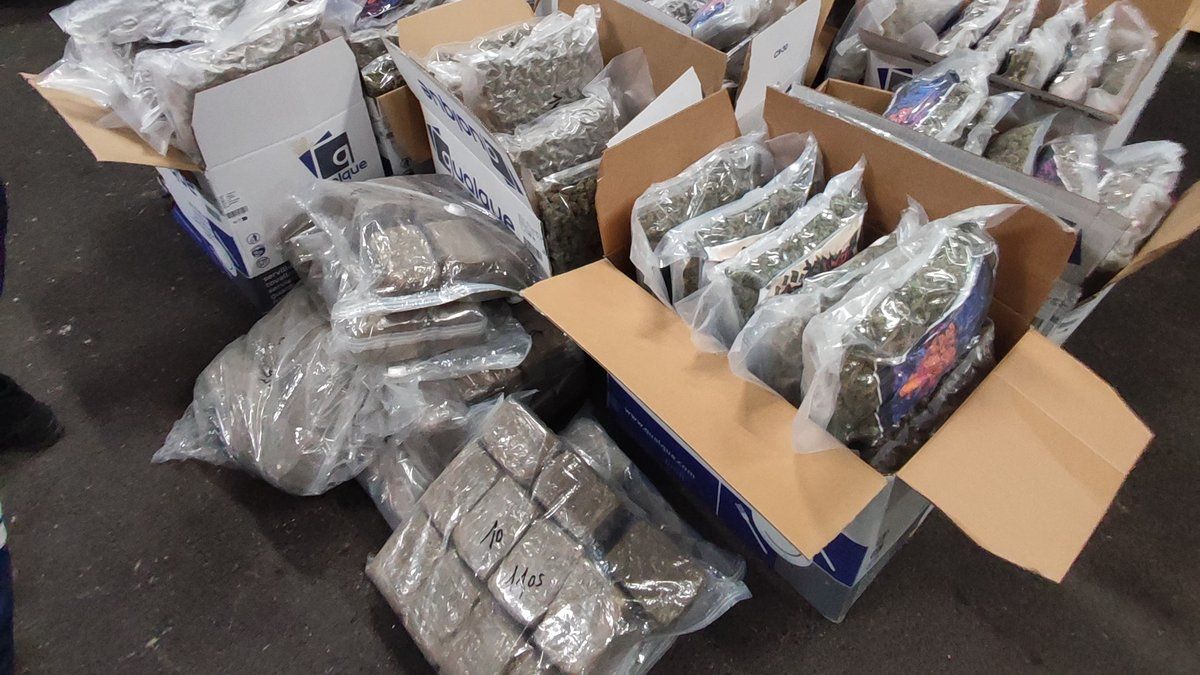 Des serviettes en papier ou un trafic de cannabis? Les douanes de Millau frapper fort