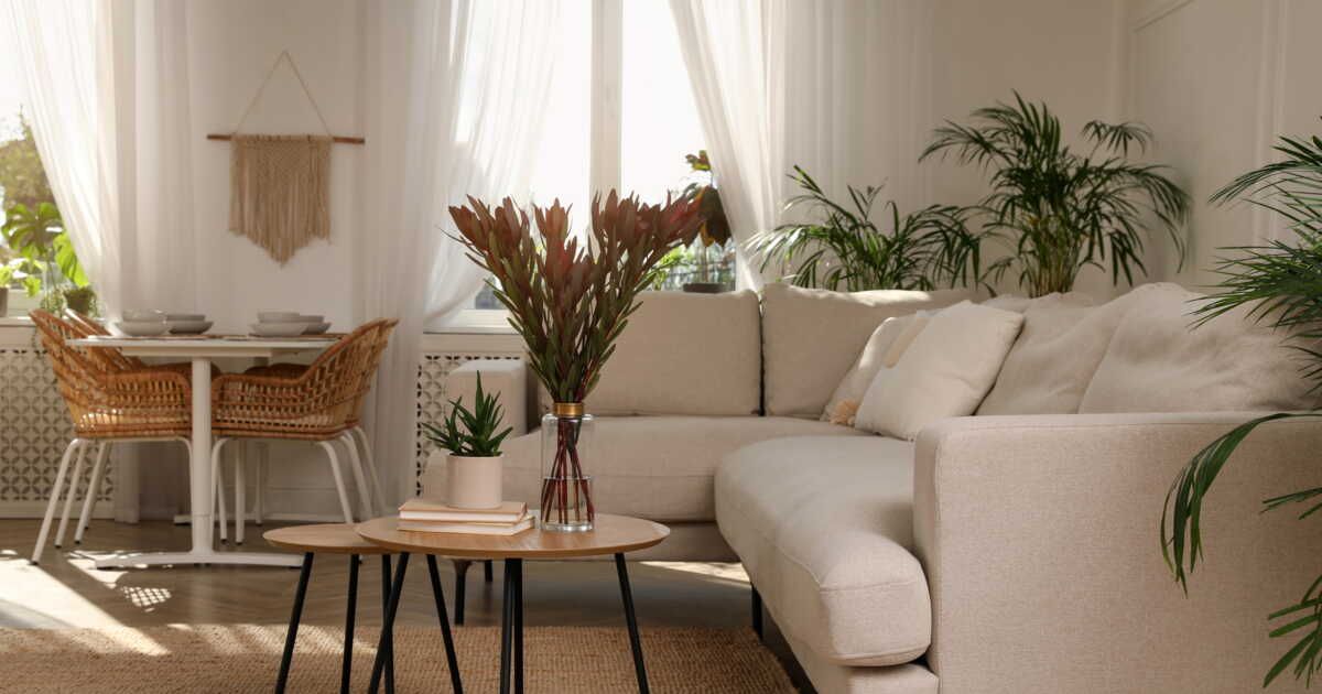 25 plantes faciles qui embellissent votre maison