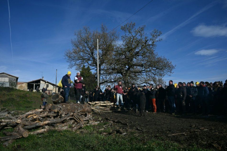 Tensions croissantes en Ariège : les agriculteurs luttent contre l'abattage des bovins
