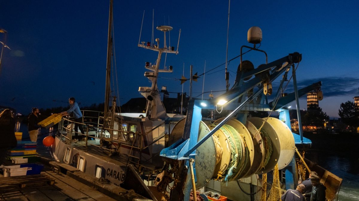 Accord de pêche entre l'UE et le Royaume-Uni : un tournant pour l'industrie halieutique