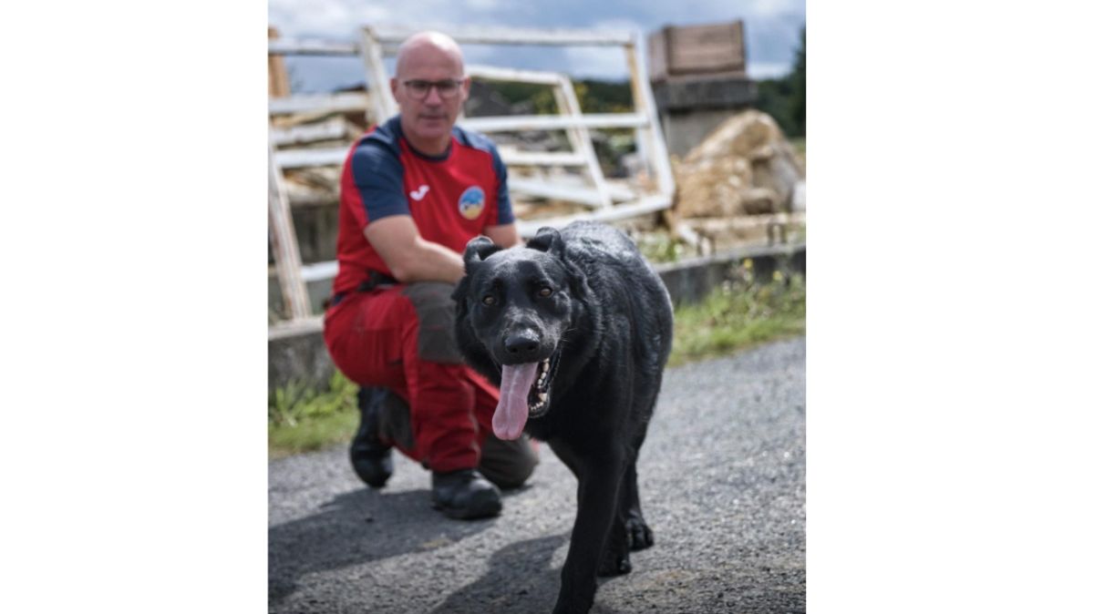 Un homme perdu en forêt sauvé grâce à un chien des pompiers à Sorigny