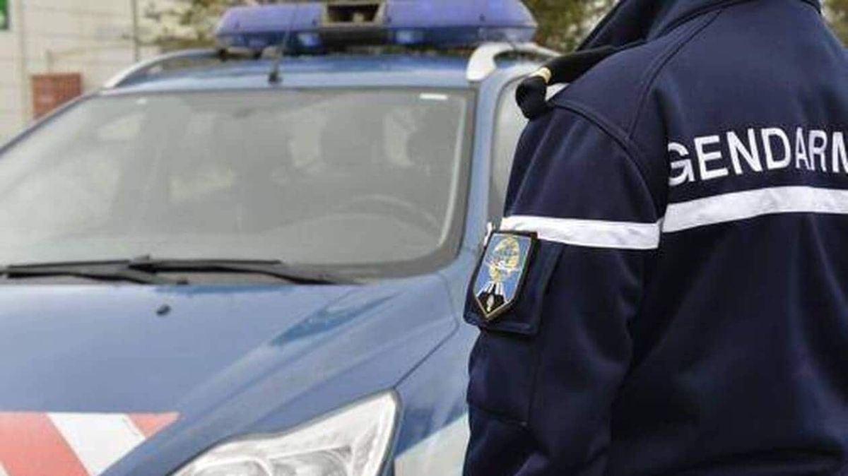 Un cambrioleur improbable dans les Côtes-d’Armor : statuettes et accessoires en ligne de mire