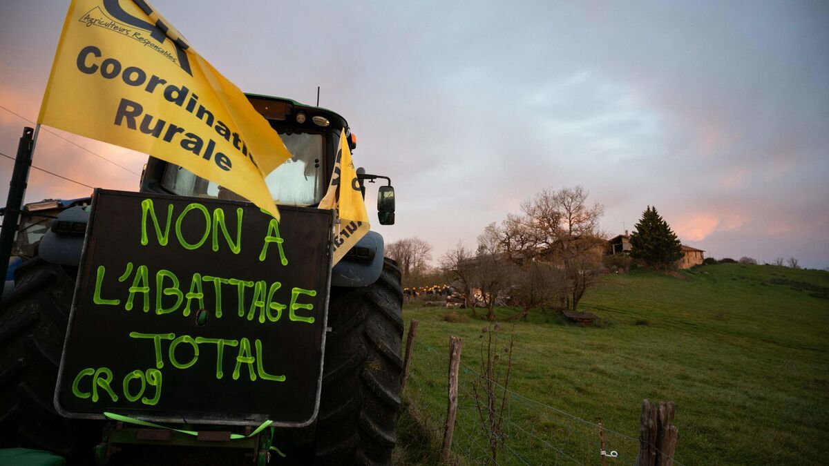 Ariège : la colère des agriculteurs face aux forces de l’ordre monte d’un cran