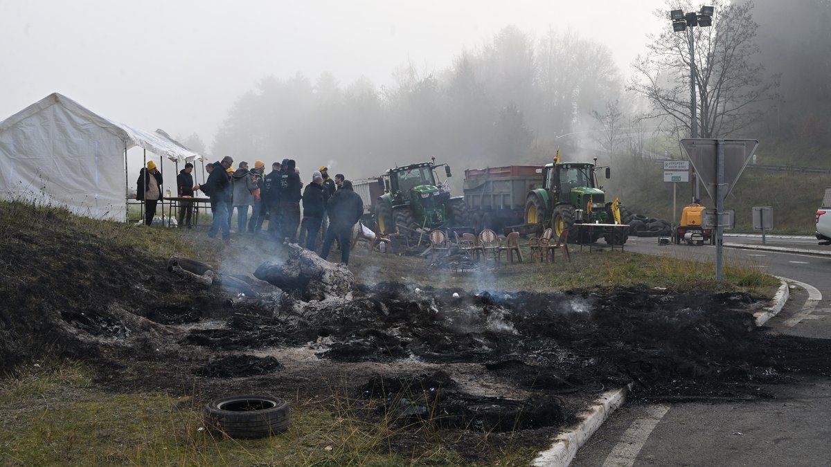 Des agriculteurs bloquent la circulation dans le Gers : répercussions et revendications