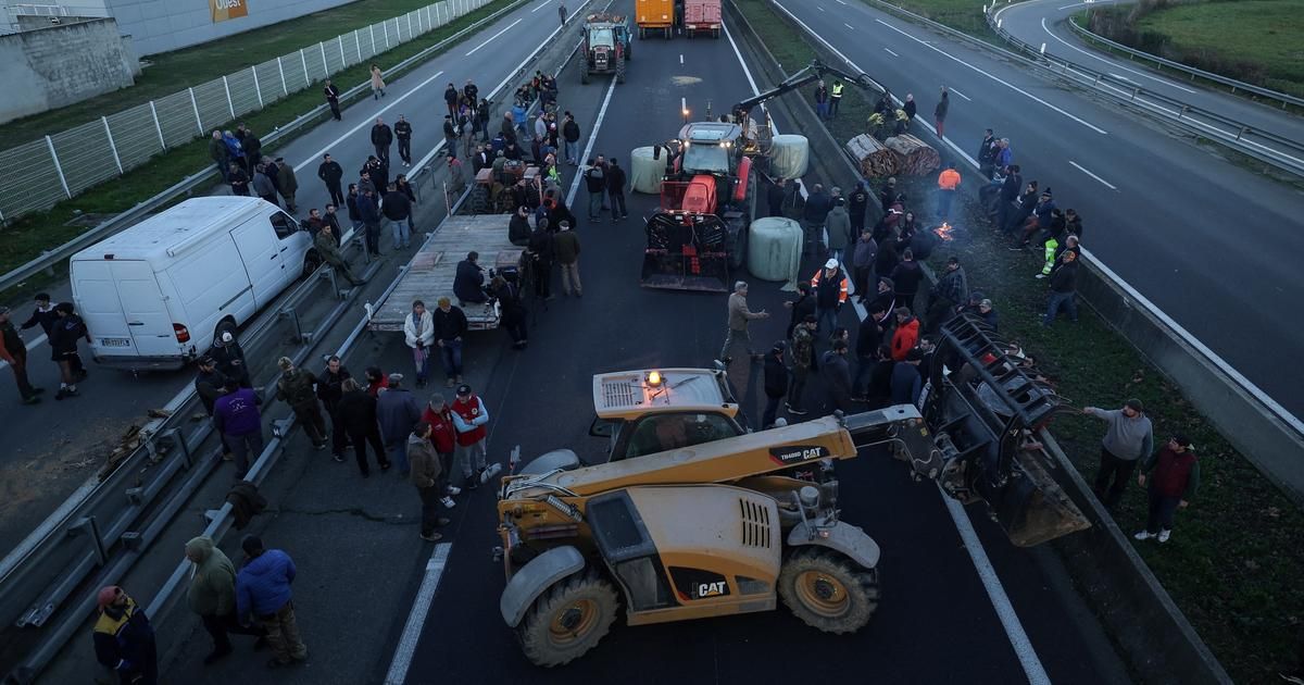 La colère des agriculteurs face à l'abattage des troupeaux déborde sur les routes