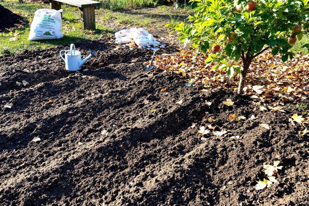 Optimisez votre potager : les clés pour des récoltes d'automne éclatantes