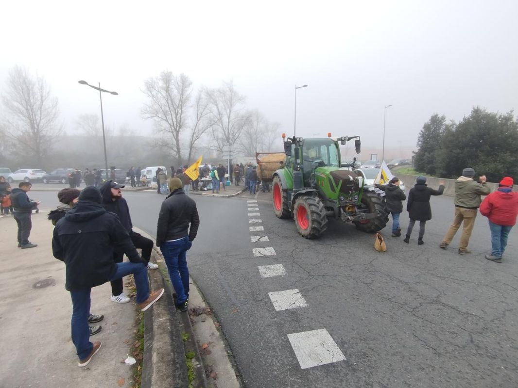 Des agriculteurs en colère se mobilisent près de Bordeaux contre l'abattage des bêtes