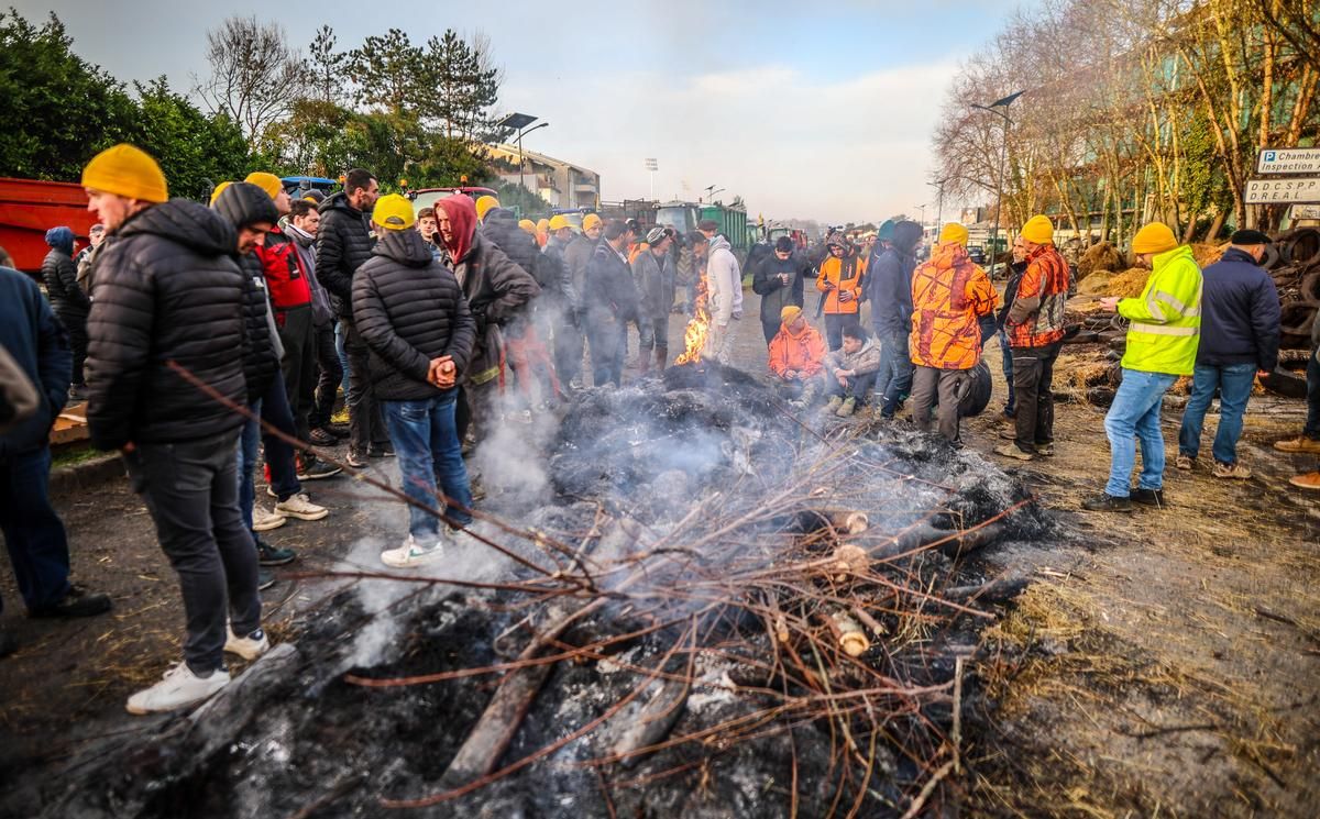 Des agriculteurs en colère, un village de Noël attractif et des sangliers voraces