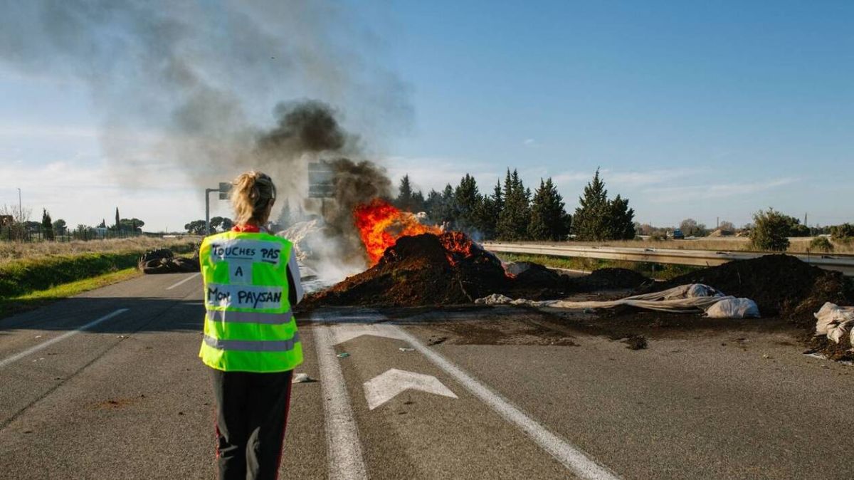 Agriculteurs en colère : des routes bloquées pour dénoncer l'inaction face à la DNC