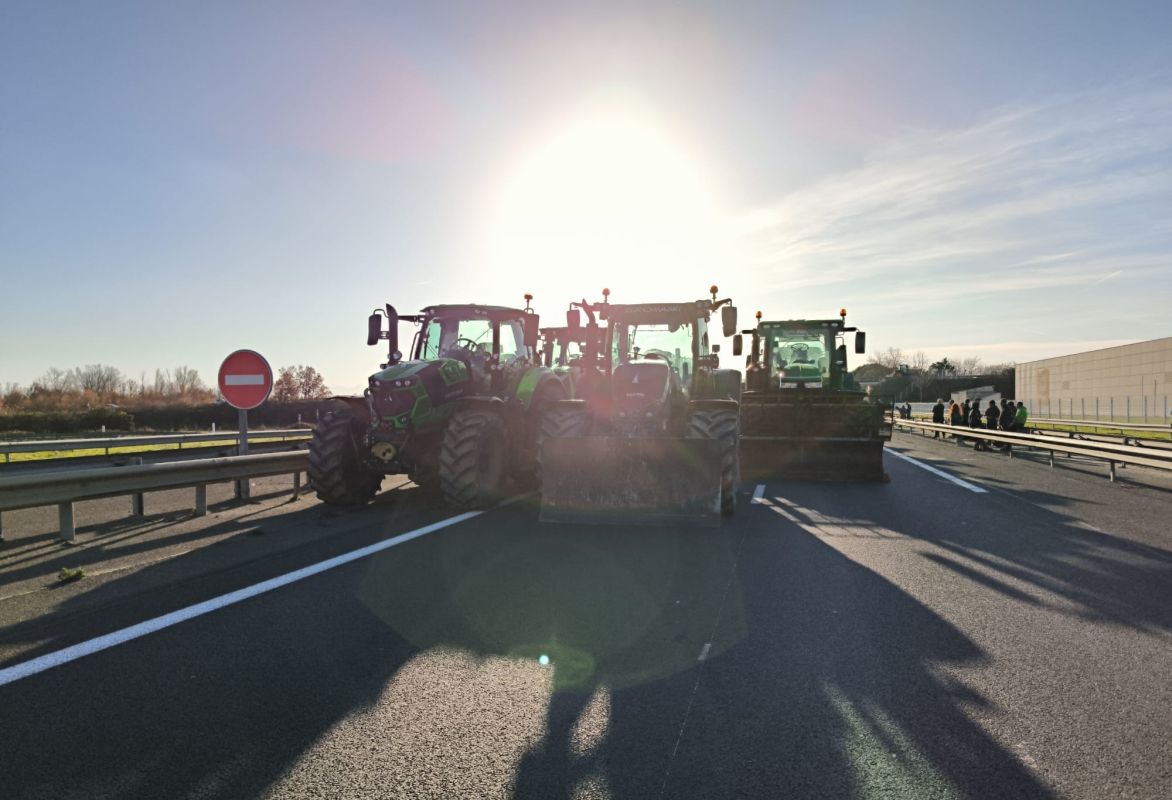 Mobilisation des agriculteurs : l'appel à l'arrêt de l'abattage à l'ère de la dermatose nodulaire