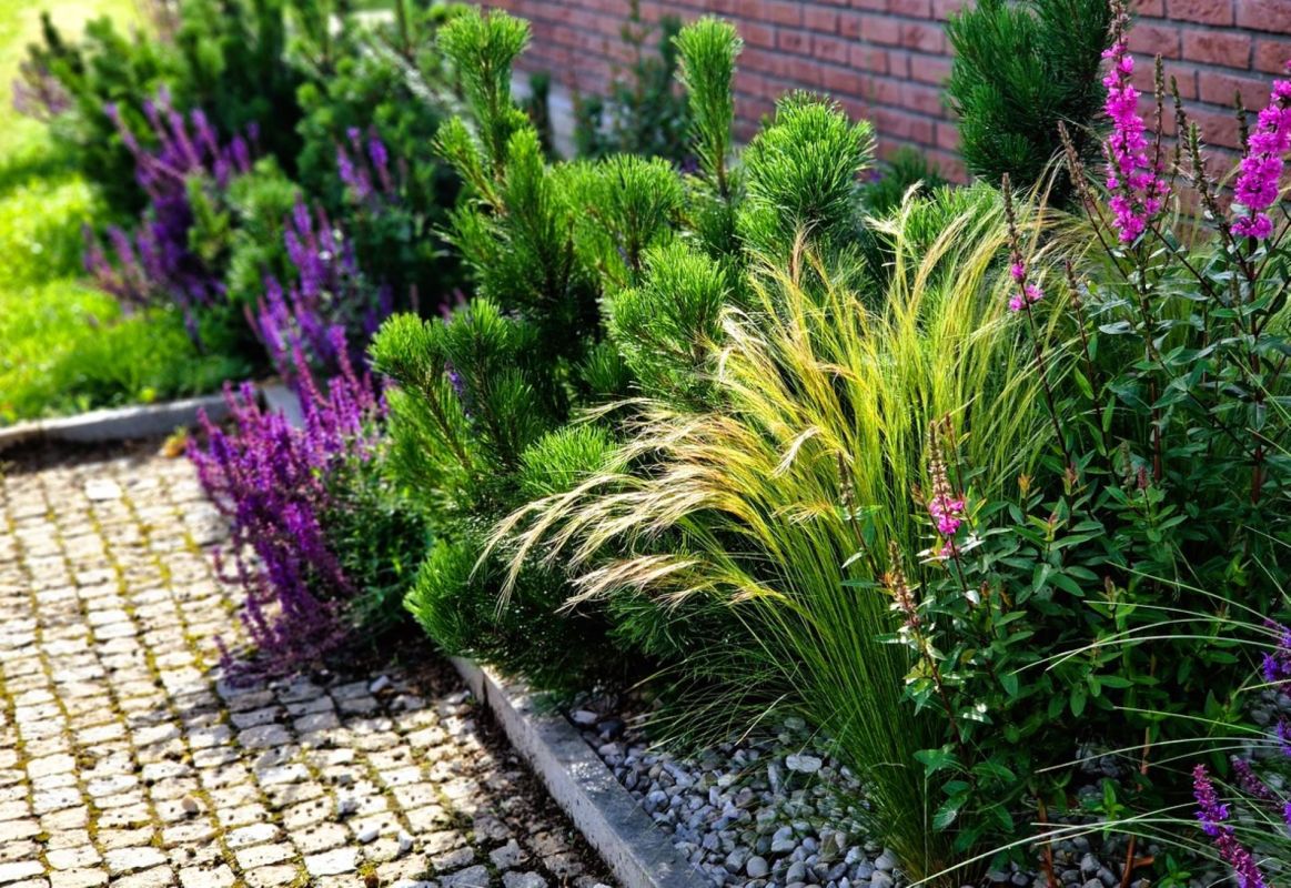 Plantes vivaces : 4 graminées à intégrer dès maintenant pour un jardin design cet été