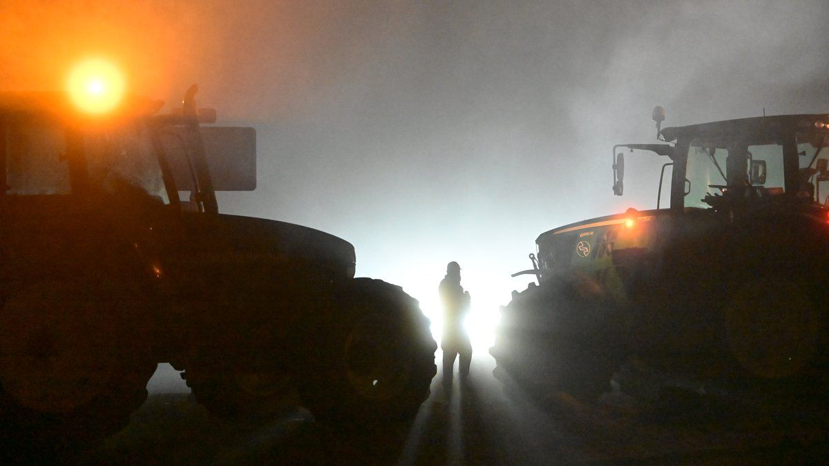 Dynamique de mobilisations agricoles autour de Toulouse face à la dermatose nodulaire
