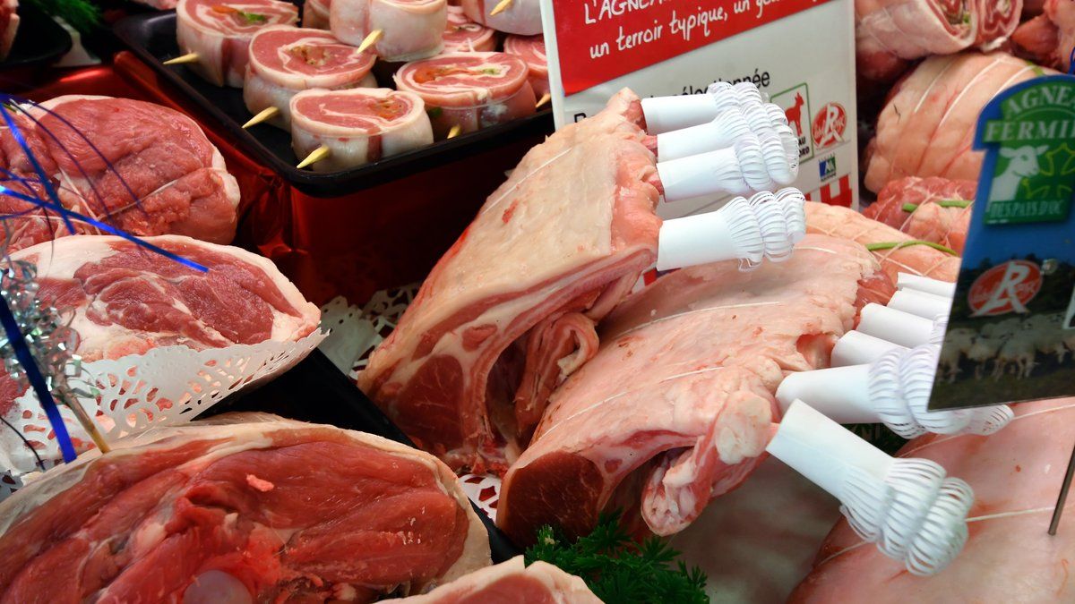 La dermatose nodulaire contagieuse : ce que vous devez vraiment savoir sur la viande bovine