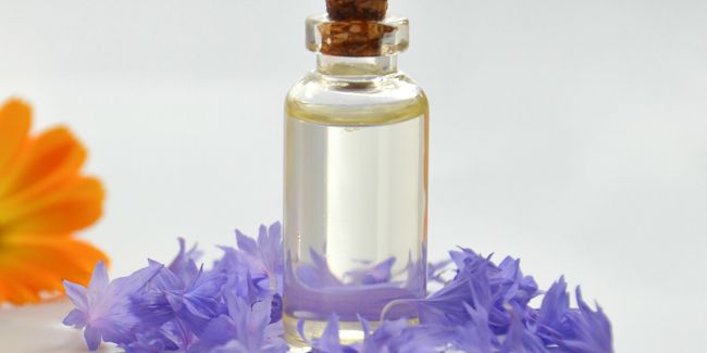 Les merveilles du bleuet : un trésor pour les yeux et la santé