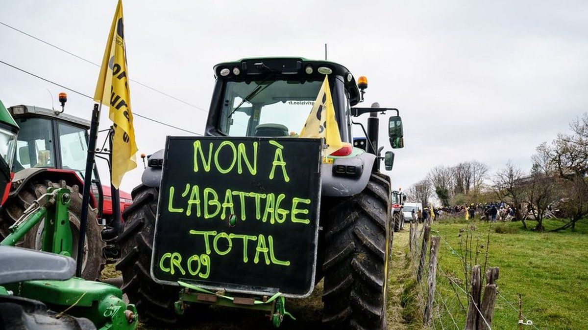 Mobilisation des agriculteurs face à la dermatose nodulaire : la ministre à la rescousse
