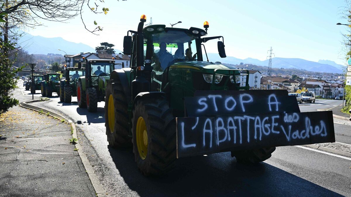 Menaces de mort sur un vétérinaire : un climat de tension au sein du secteur agricole