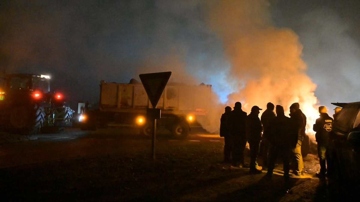 Mobilisation des agriculteurs : la colère face à la dermatose nodulaire s'intensifie