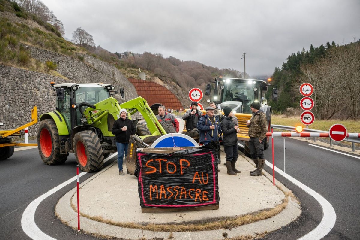 La lutte contre la dermatose bovine : une réponse ministérielle à la crise agricole