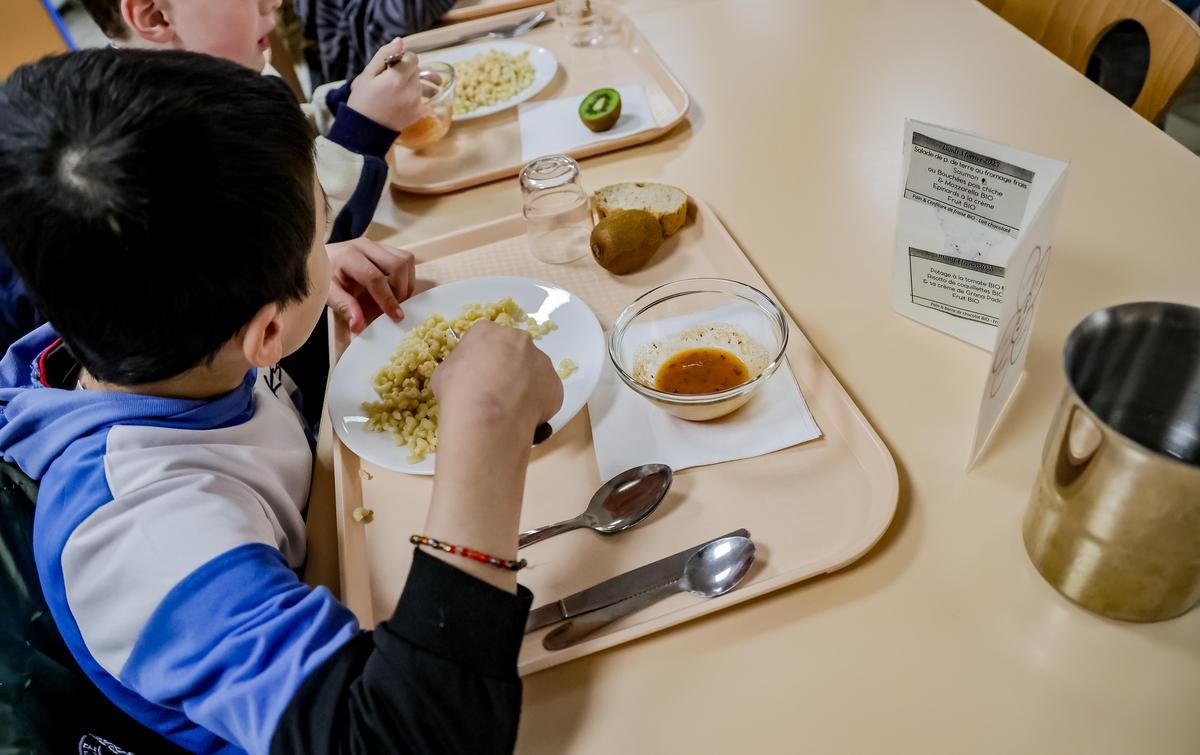 Pessac : polémiques autour du renouvellement du contrat de restauration scolaire