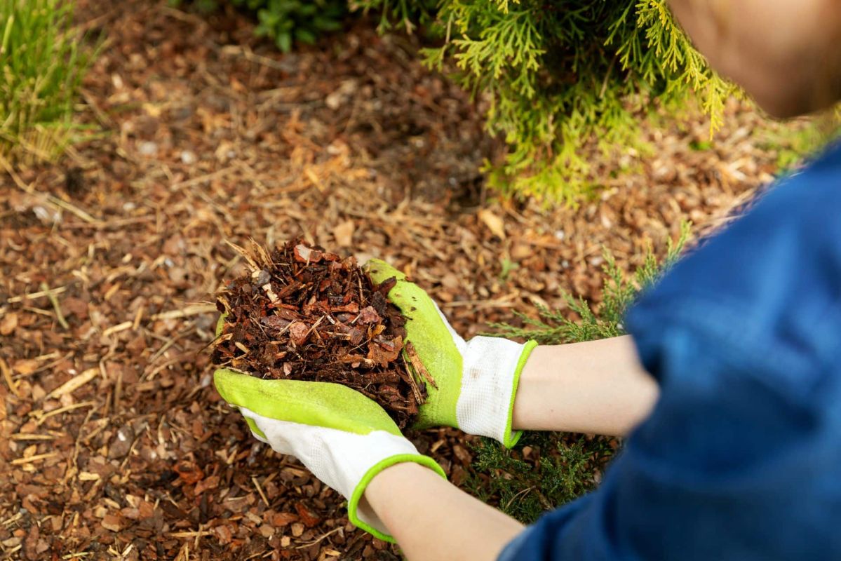 Le paillis de lin : un secret naturel pour un jardin florissant