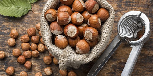 Les secrets de la noisette : récolte, conservation et délices