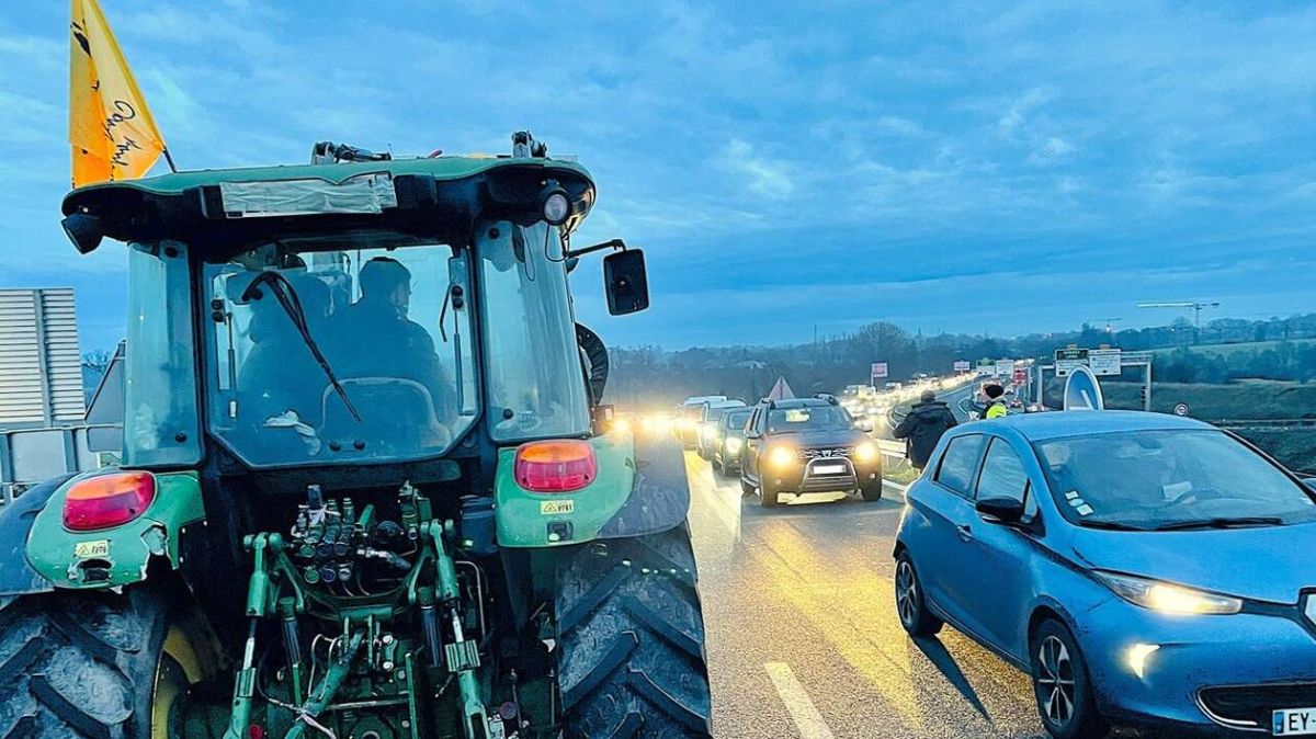La Confédération paysanne en action : une mobilisation pour l'agriculture du Maine-et-Loire