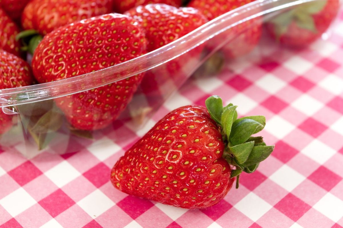 La fraise qui réveille vos papilles : découvrez les variétés à ne pas manquer