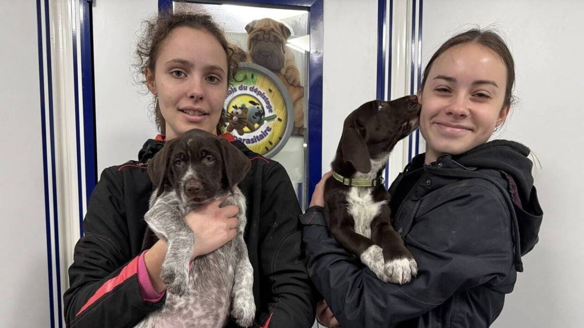 Des histoires émouvantes de Normandie qui réchauffent le cœur