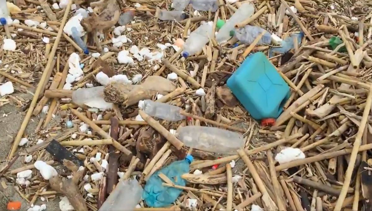 Mobilisation citoyenne : le littoral catalan en état d'urgence face aux déchets