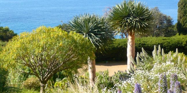 Évasion méditerranéenne au Domaine du Rayol : un jardin pas comme les autres